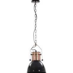 vidaXL Plafondlampen 2 st rond E27 zwart