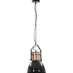 vidaXL Plafondlampen 2 st rond E27 zwart