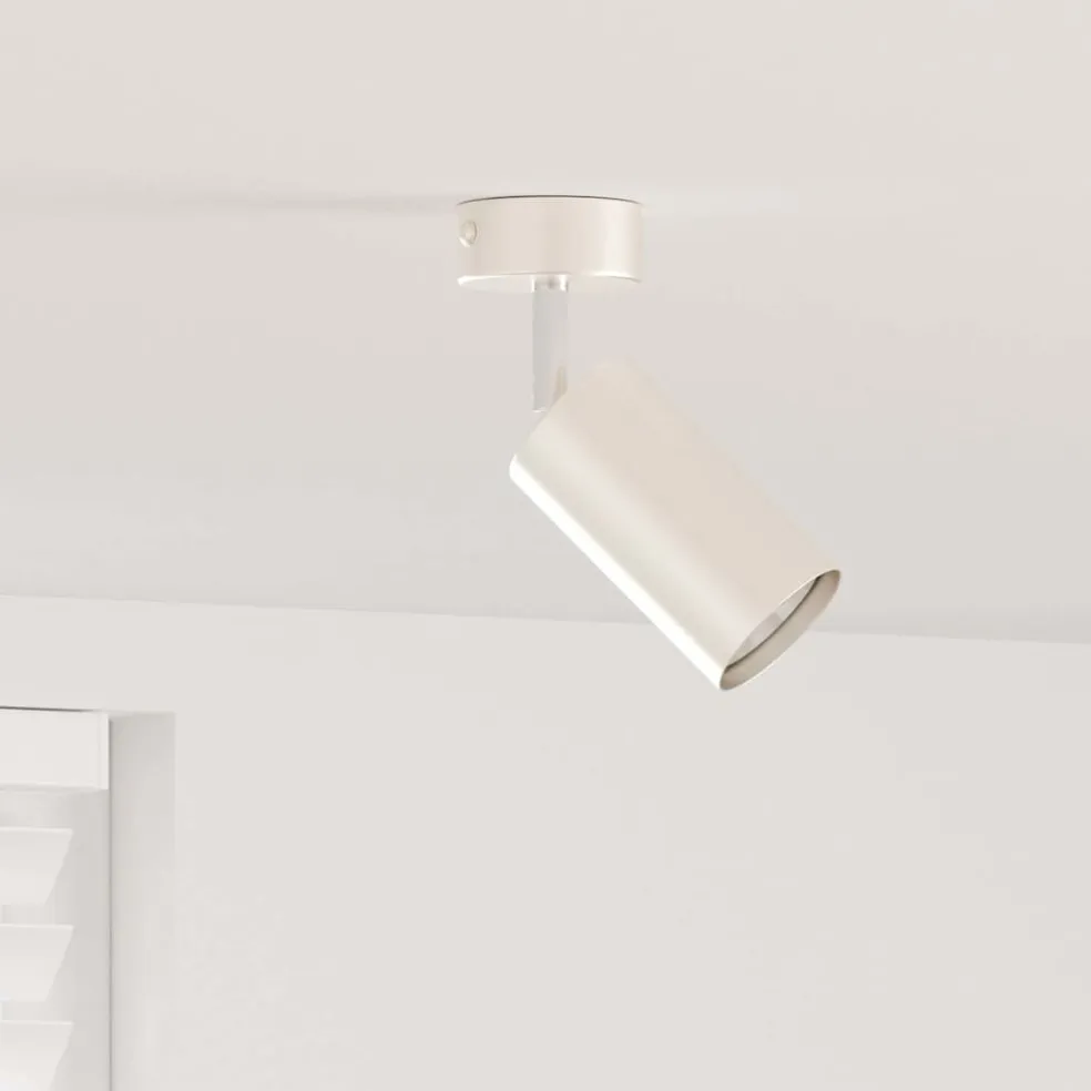 vidaXL Plafondspot met schijnwerpers Nikkel 6 x 6 x 16 cm Metaal