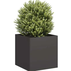 vidaXL Plantenbak 40x40x40 cm koudgewalst staal zwart
