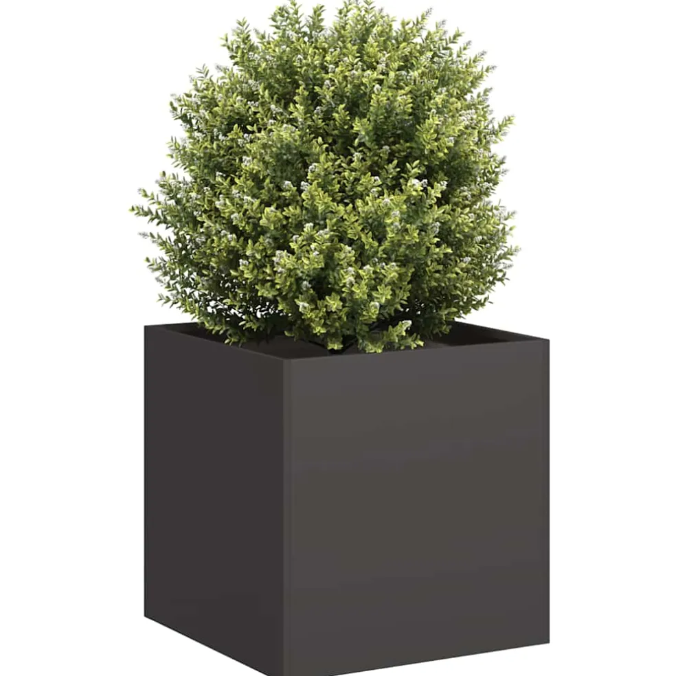 vidaXL Plantenbak 40x40x40 cm koudgewalst staal zwart