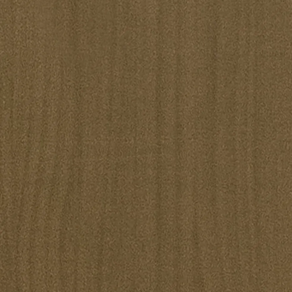 vidaXL Plantenbak 40x40x70 cm massief grenenhout honingbruin