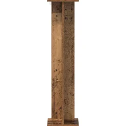 vidaXL Plantenstandaard Oud hout 25 x 25,5 x 100,5 cm Bewerkt hout