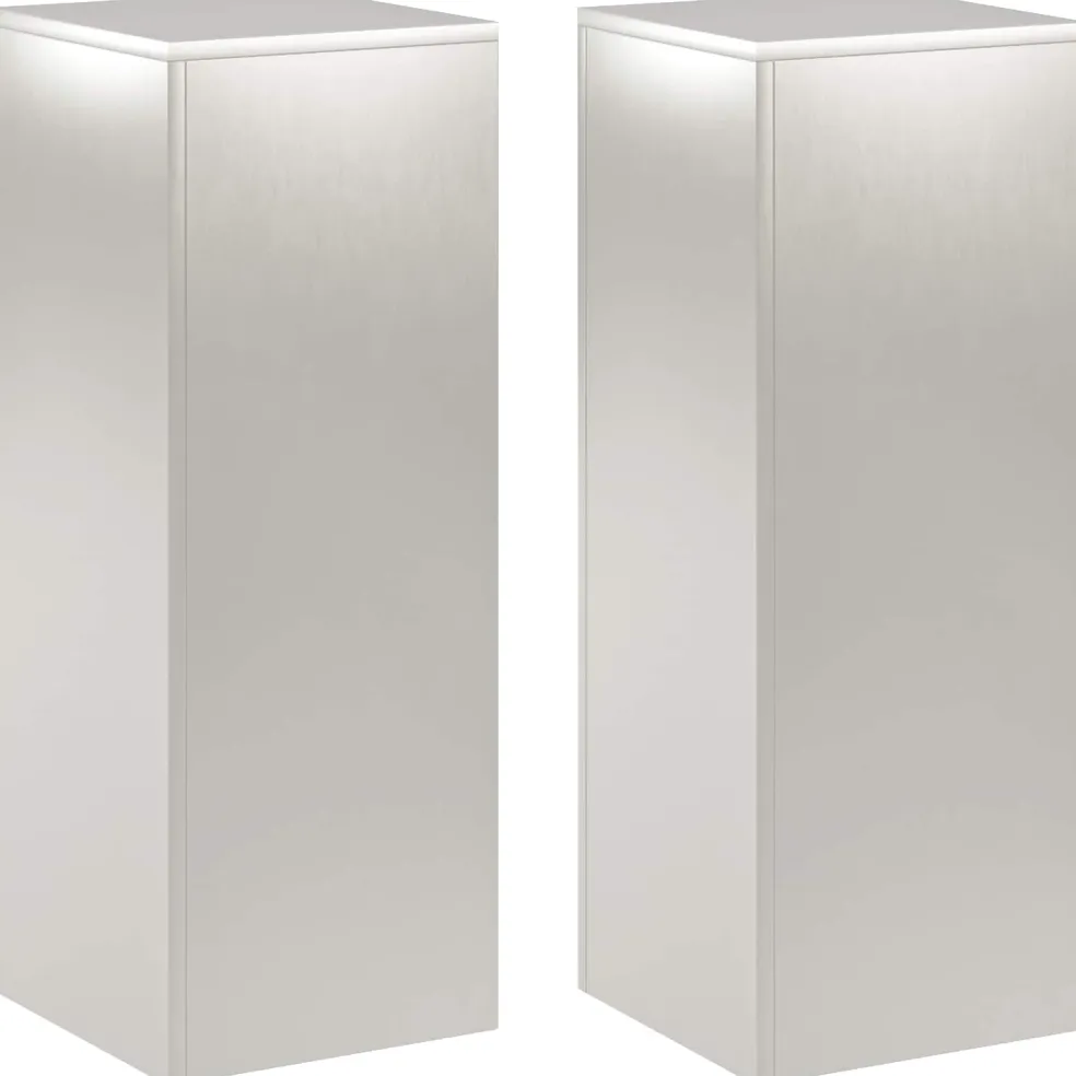 vidaXL Plantenstandaard 2 pcs zilver 30 x 30 x 80 cm Staal
