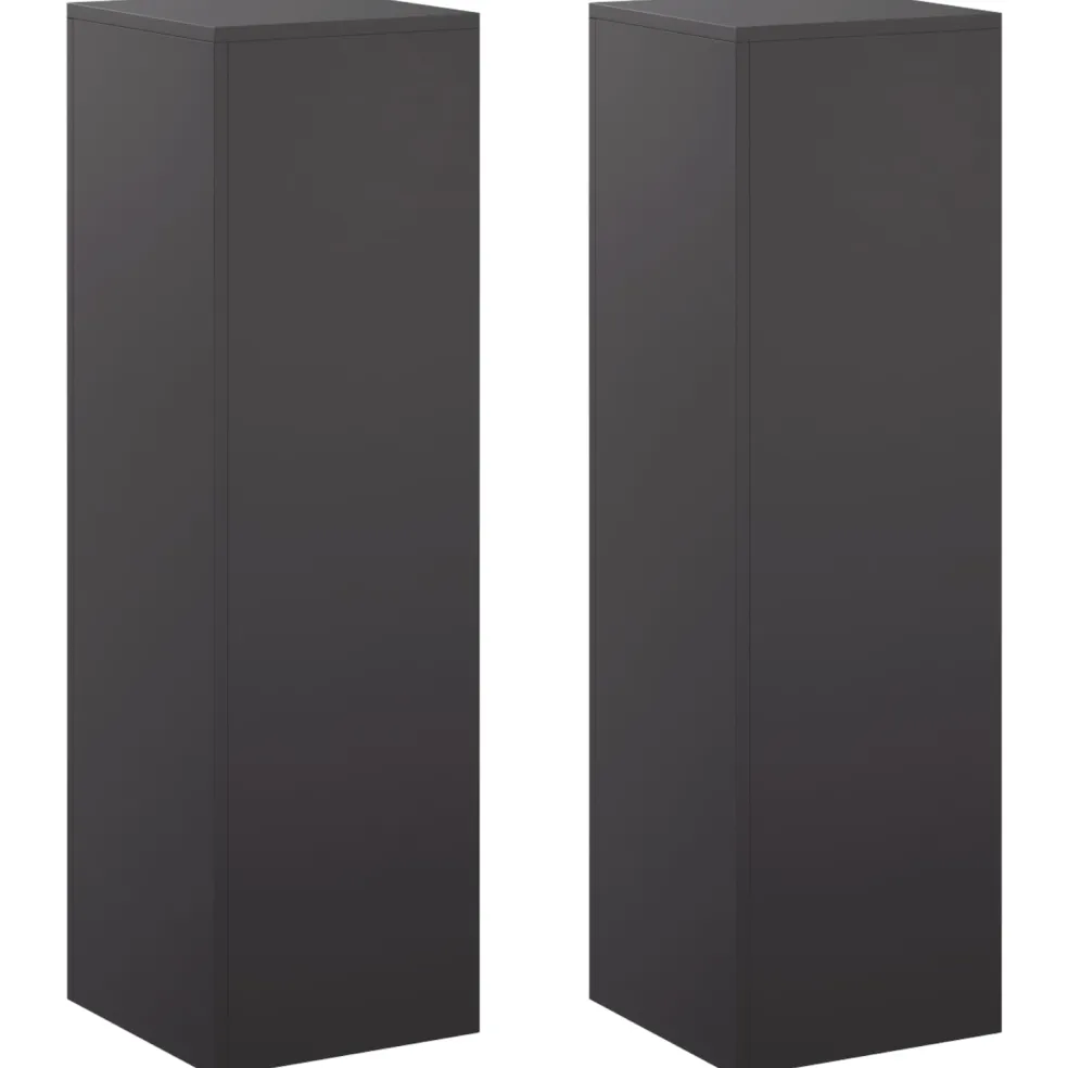 vidaXL Plantenstandaard 2 pcs Zwart 30 x 30 x 100 cm Staal