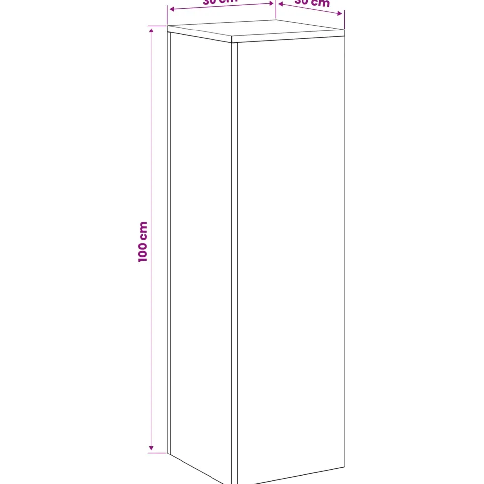 vidaXL Plantenstandaard 2 pcs Zwart 30 x 30 x 100 cm Staal