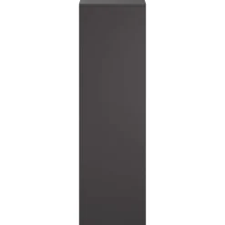 vidaXL Plantenstandaard 2 pcs Zwart 30 x 30 x 100 cm Staal
