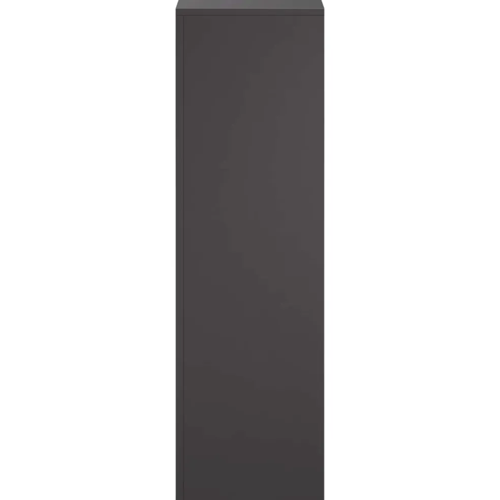 vidaXL Plantenstandaard 2 pcs Zwart 30 x 30 x 100 cm Staal