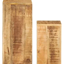 vidaXL Plantenstandaards 2 st massief mangohout
