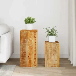 vidaXL Plantenstandaards 2 st massief mangohout