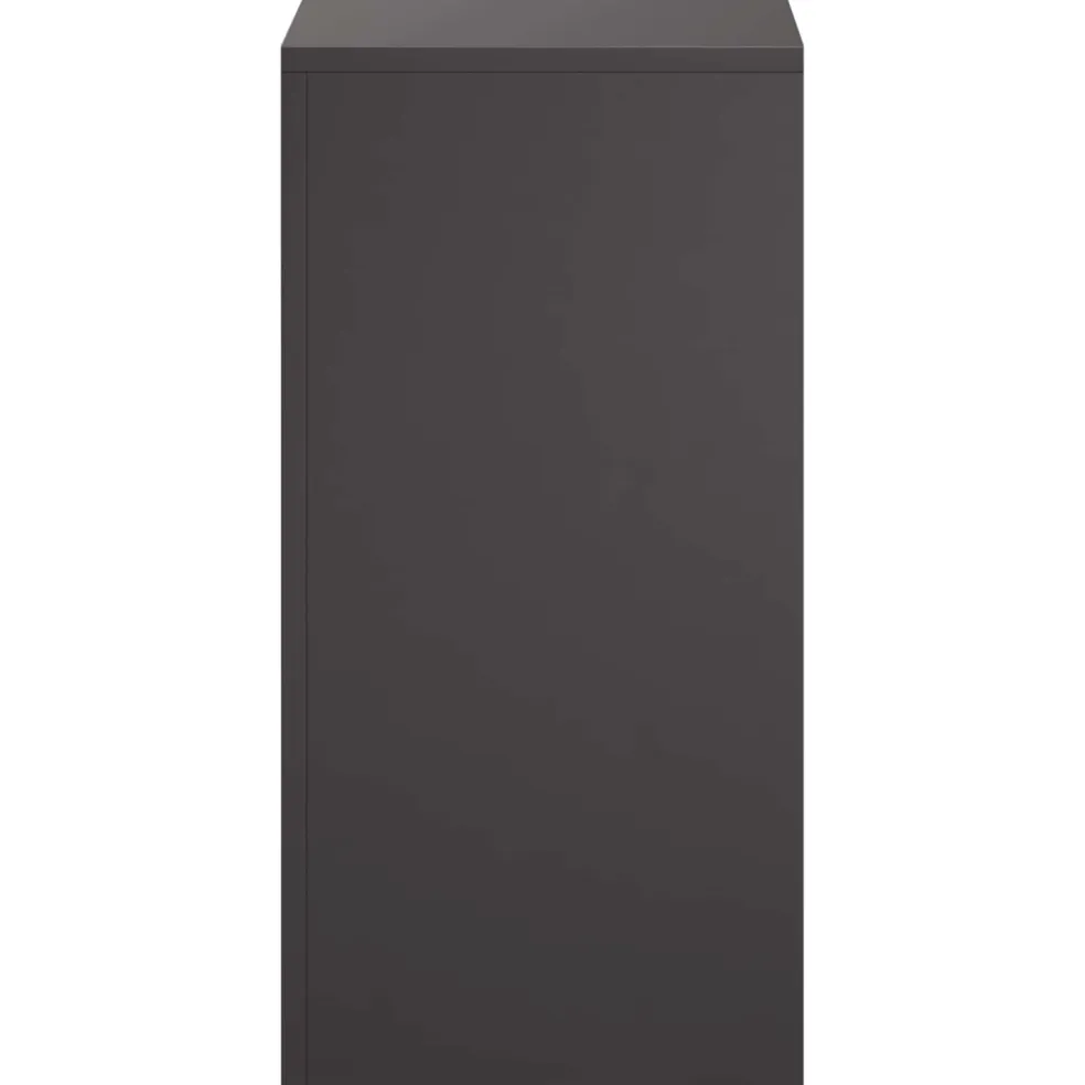 vidaXL Plantenstandaard Zwart 30 x 30 x 60 cm Staal