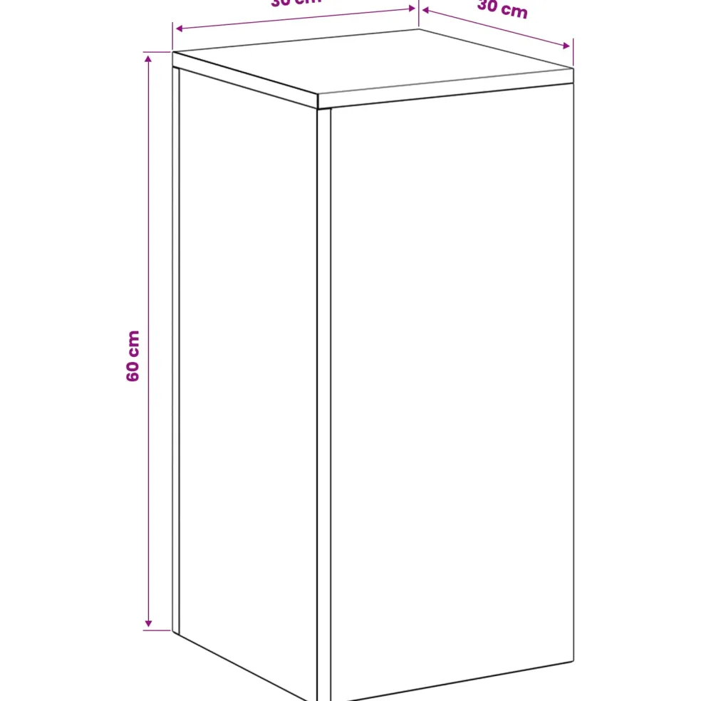 vidaXL Plantenstandaard Zwart 30 x 30 x 60 cm Staal