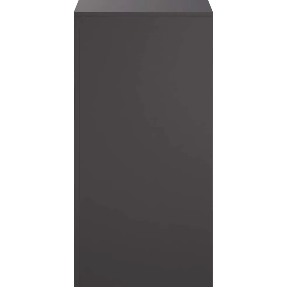 vidaXL Plantenstandaard Zwart 40 x 40 x 80 cm Staal