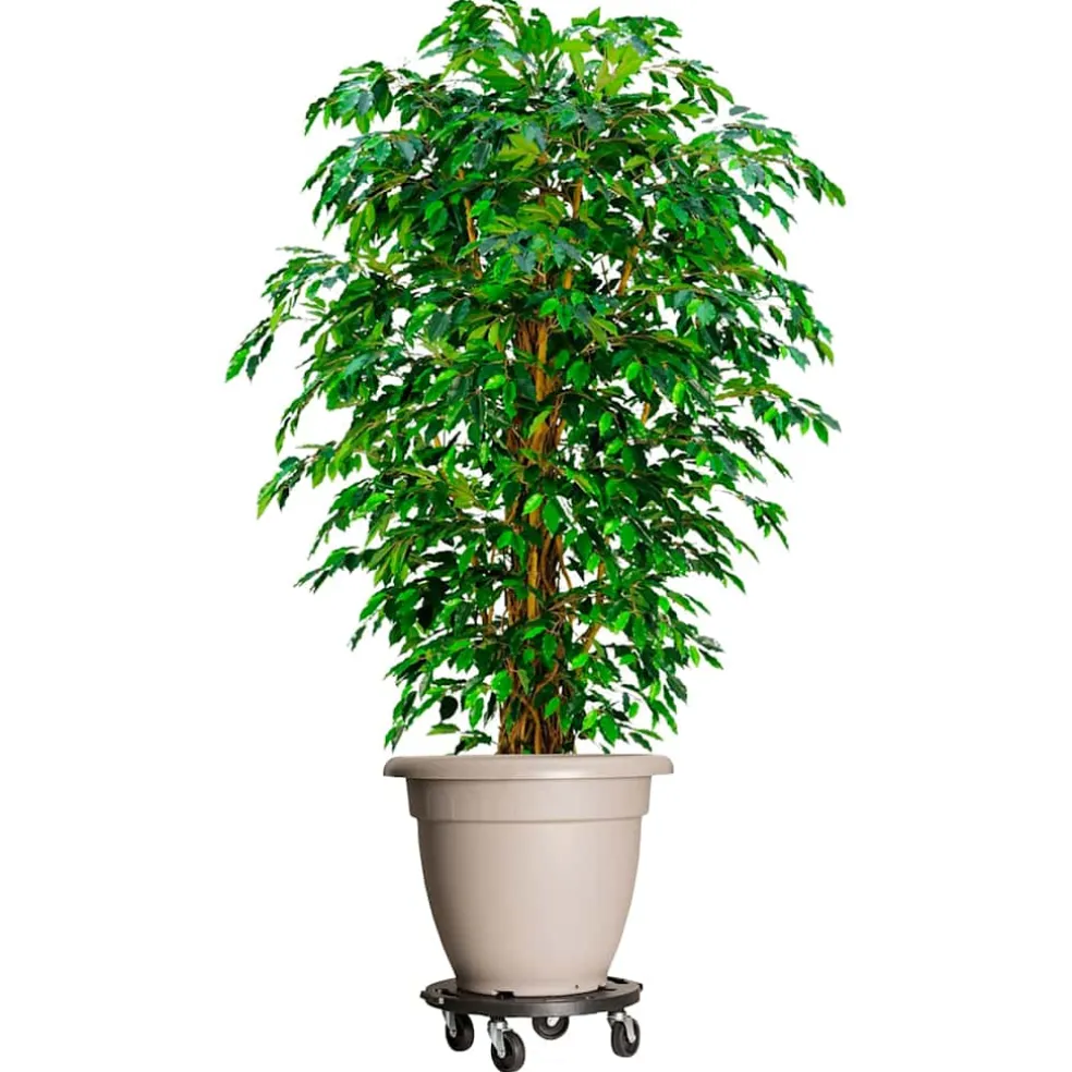 vidaXL Plantentrolley met wielen 275 kg diameter 40 cm zwart