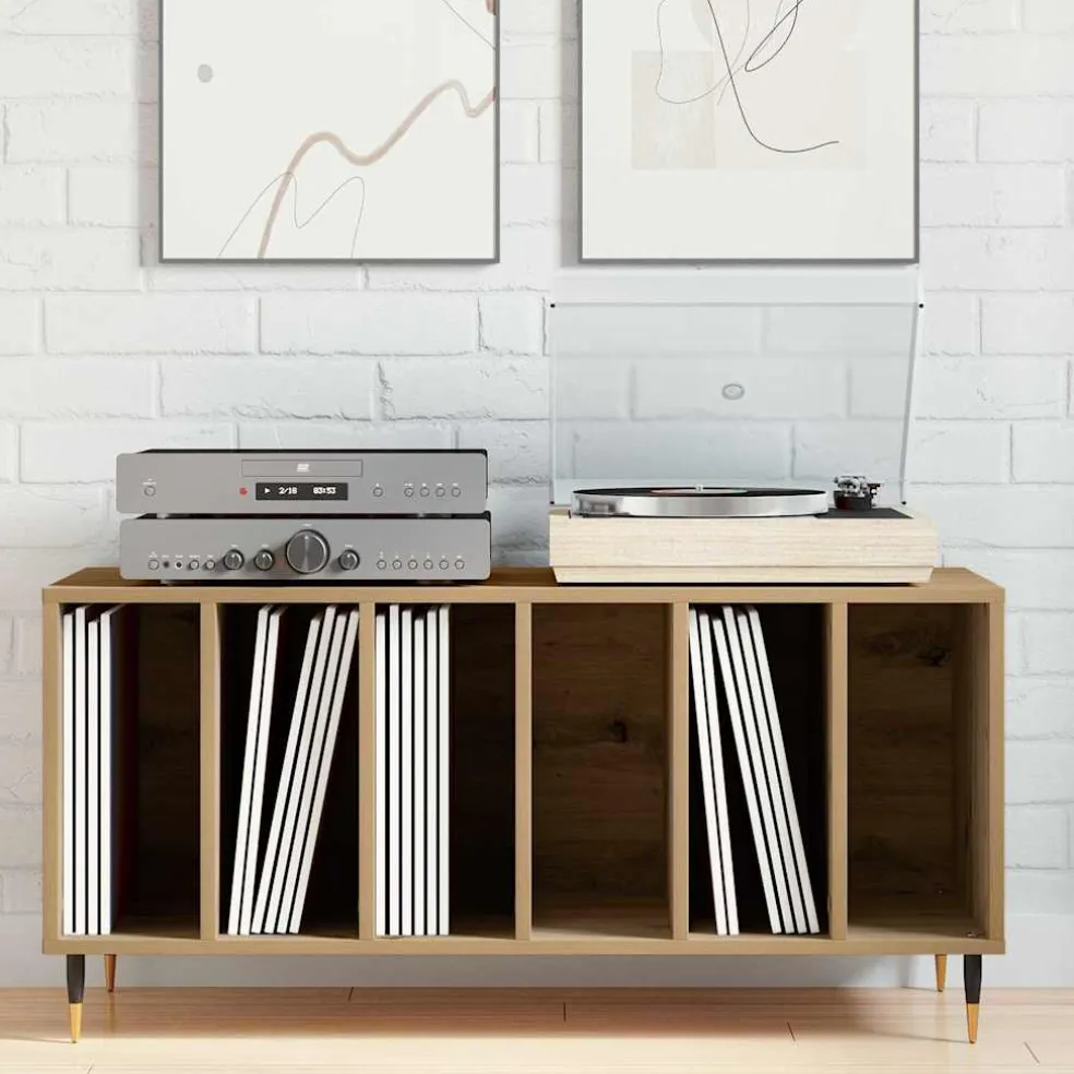 vidaXL Platenkast artisanaal eikenkleurig 100 x 38 x 48 cm