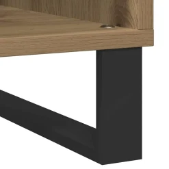 vidaXL Platenkast artisanaal eikenkleurig 100 x 38 x 48 cm
