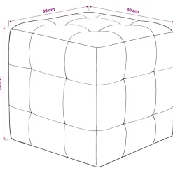 vidaXL Poef 2 st 30x30x30 cm fluweel grijs
