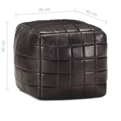 vidaXL Poef 40x40x40 cm echt geitenleer zwart