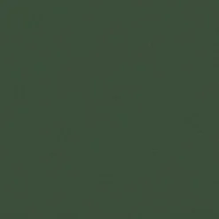 vidaXL Pop-up partytent 575 x 288 x 245 cm Groen Oxford Stof
