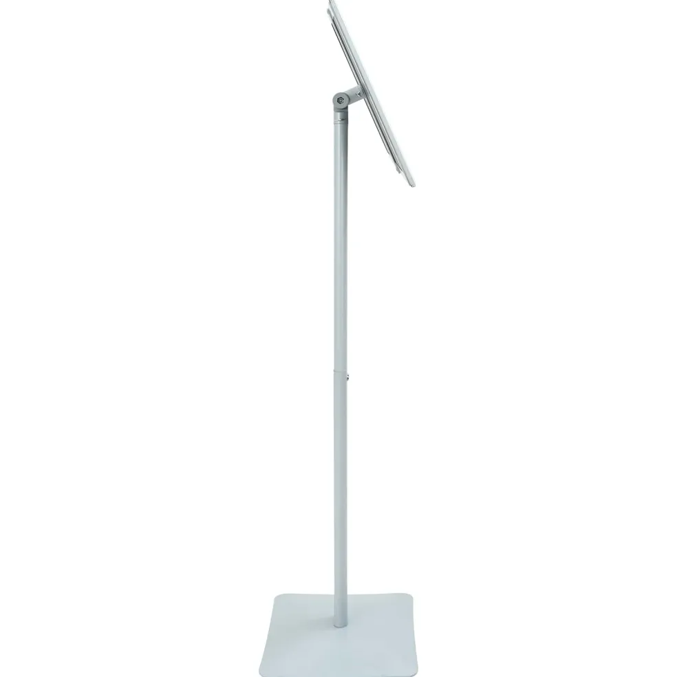 vidaXL Posterstandaard met voet 32,5 x 27 x 126 cm Gietijzer zilver