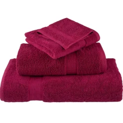 vidaXL Premium washandjes SOLUND 2 stuks Bordeaux 30x30cm 600 g/m²