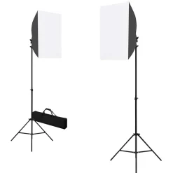 vidaXL Professionele studiolampen 2 st 40x60 cm staal zwart
