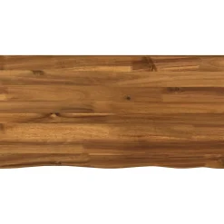 vidaXL Rechthoekig Tafelblad 40 x 20 x 3 cm Rechthoekig