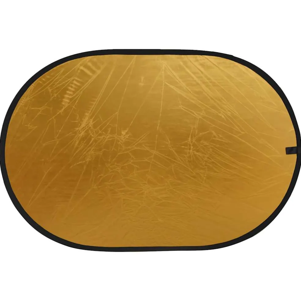 vidaXL Reflectorset 5-in-1 en 2-in-1 met opbergtas