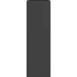 vidaXL Regen paraplu standaard Zwart 15,5 x 15,5 x 49 cm Staal