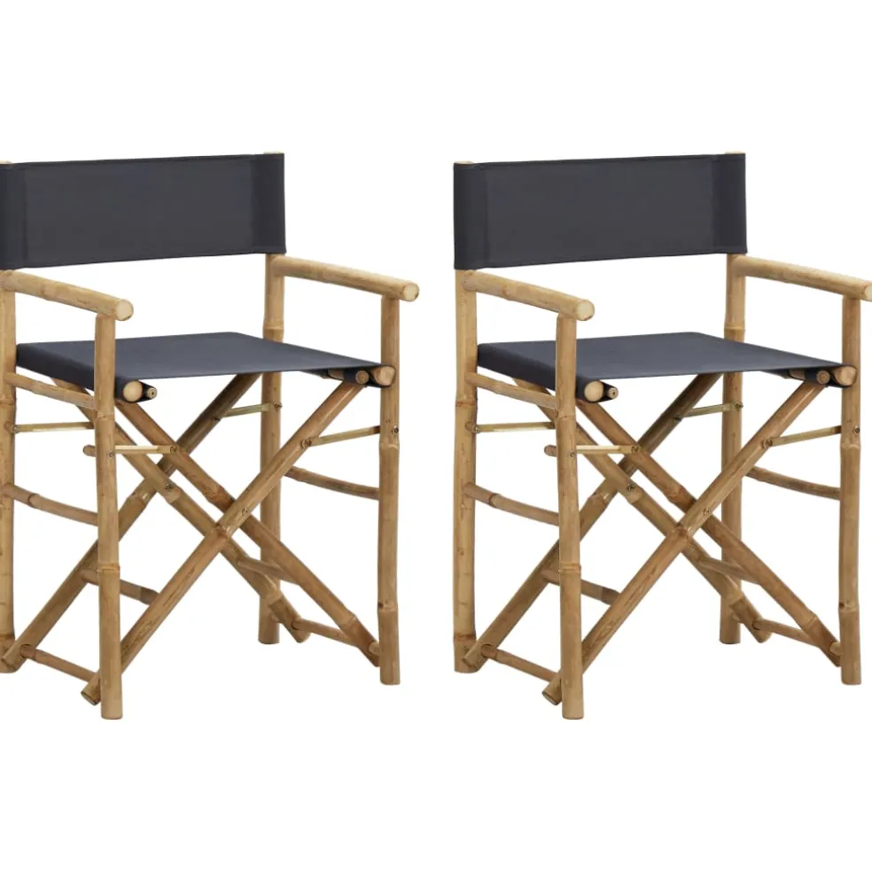 vidaXL Regisseursstoelen 2 st inklapbaar donkergrijs bamboe en stof