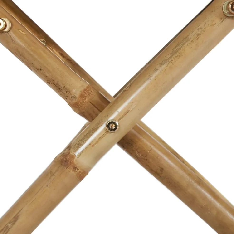 vidaXL Regisseursstoelen 2 st inklapbaar donkergrijs bamboe en stof