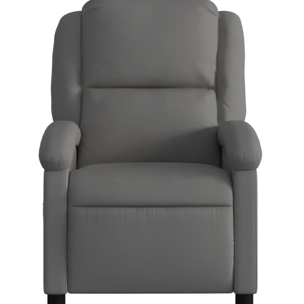 vidaXL Relaxfauteuil Grijs Echt Leer