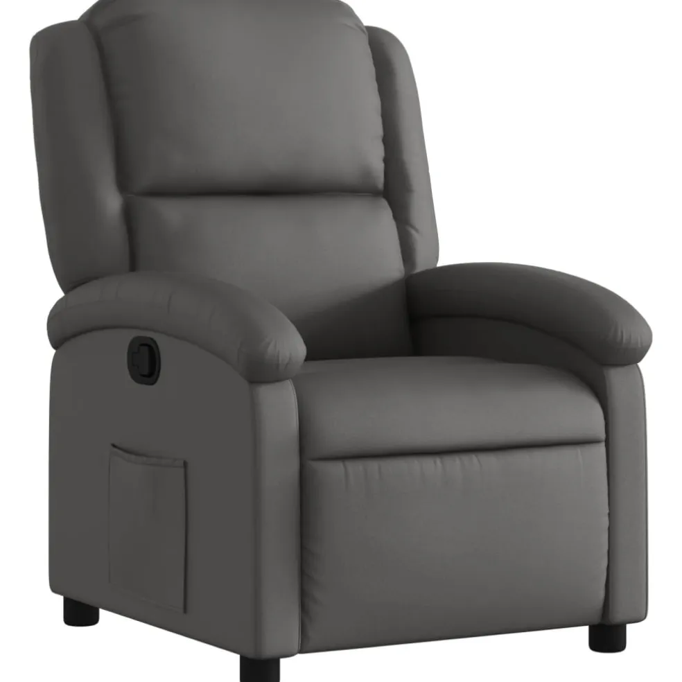 vidaXL Relaxfauteuil Grijs Echt Leer