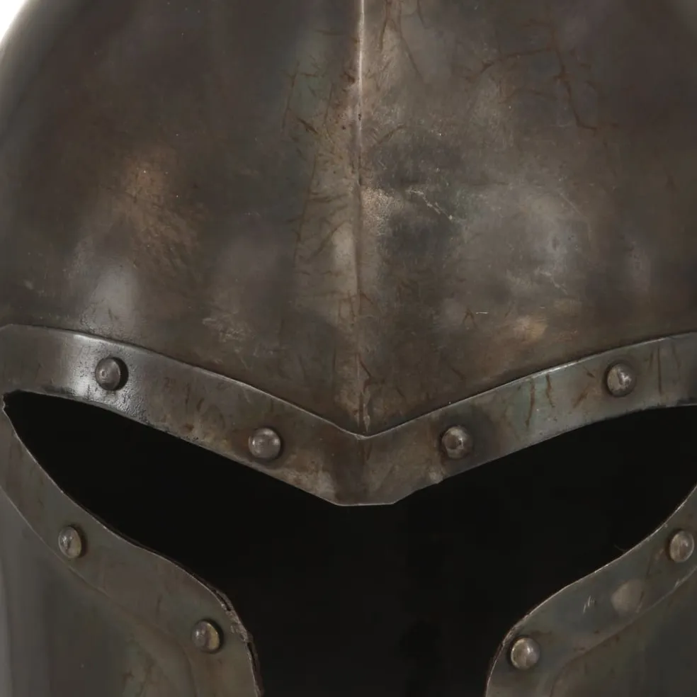 vidaXL Ridderhelm middeleeuws replica LARP staal zilverkleurig