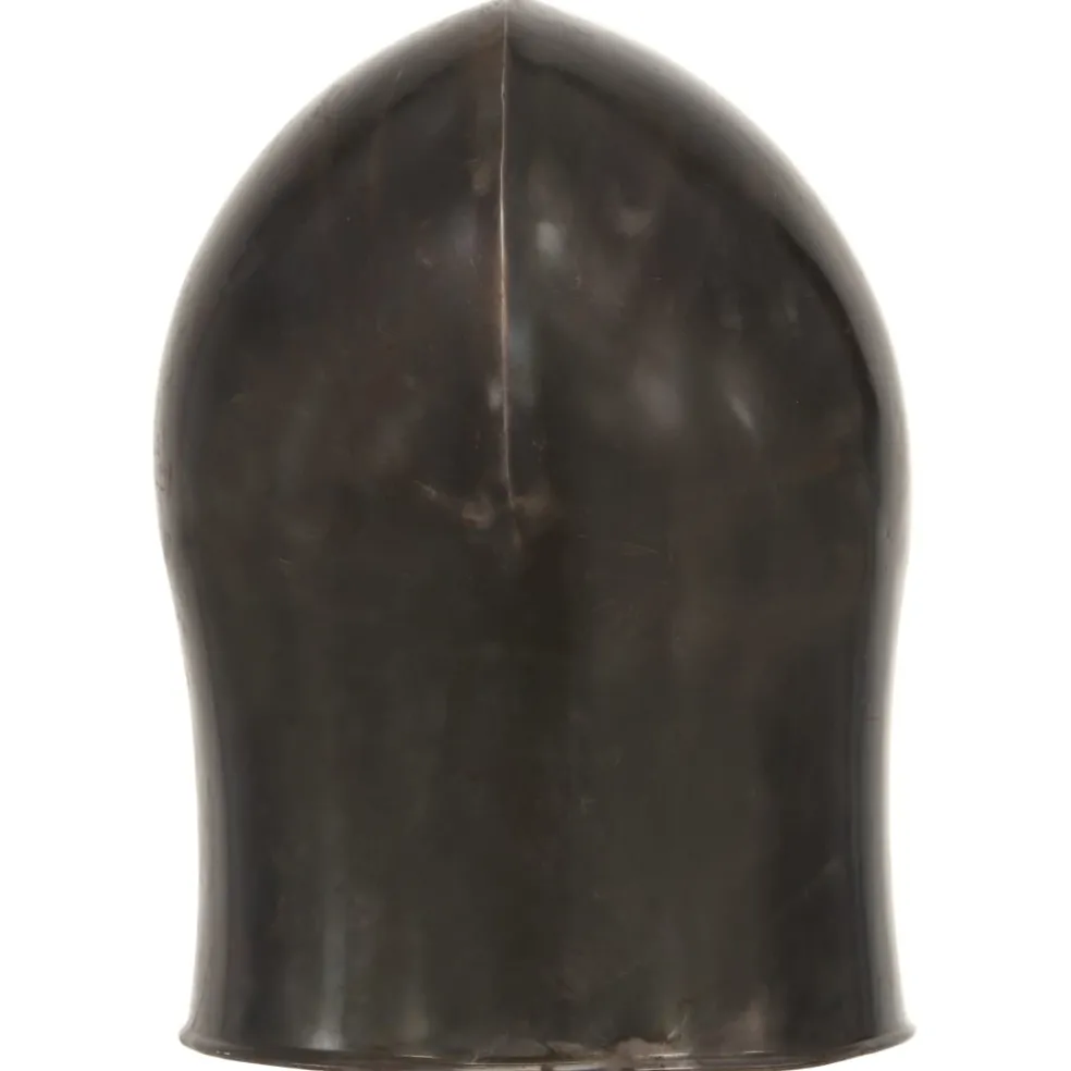 vidaXL Ridderhelm middeleeuws replica LARP staal zilverkleurig