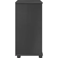 vidaXL Rolling Kast 63,5 x 39 x 79 cm Massief Vurenhout Grijs