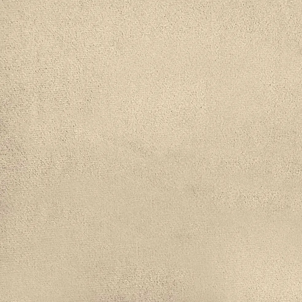 vidaXL Rugkussen Crèmekleurig 50 x 45 cm Microvezel Stof