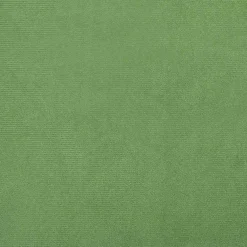 vidaXL Rugkussen Lichtgroen 45 x 20 x 35 cm Cordstof