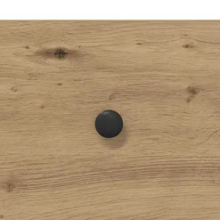 vidaXL Salontafel Artisanaal eiken 100 x 51 x 45 cm Bewerkt hout