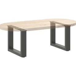 vidaXL Salontafelpoten 2 st U-vormig 30x(30-31) cm staal antraciet