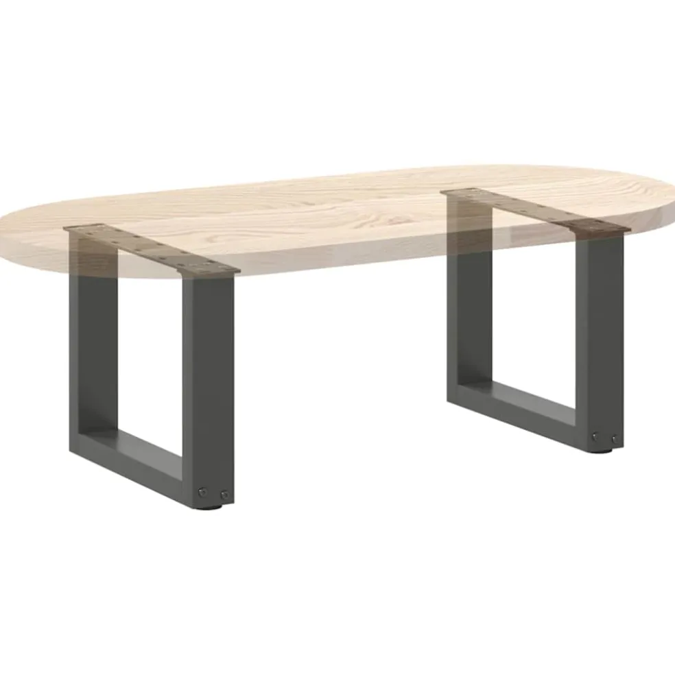 vidaXL Salontafelpoten 2 st U-vormig 30x(30-31) cm staal antraciet