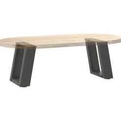 vidaXL Salontafelpoten 2 st U-vormig 30x(30-31) cm staal antraciet