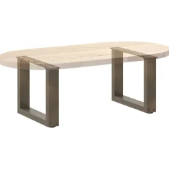 vidaXL Salontafelpoten 2 st U-vormig 40x(30-31) cm staal naturel