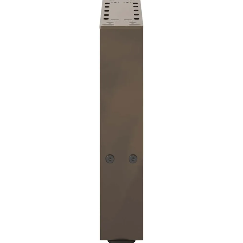 vidaXL Salontafelpoten 2 st 30x (30-31) cm staal naturel staal
