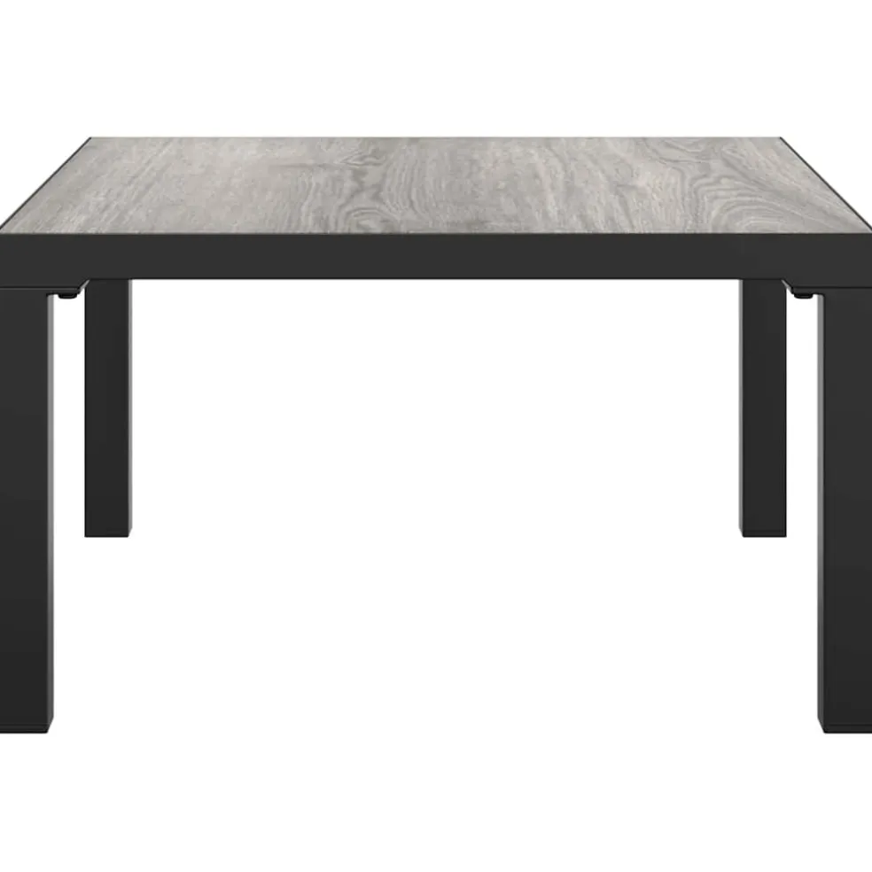 vidaXL Salontafel tuin 55x55x31 cm DPC en staal grijs