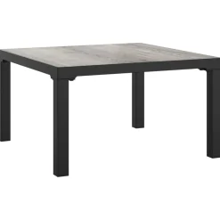 vidaXL Salontafel tuin 55x55x31 cm DPC en staal grijs