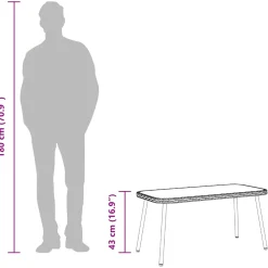 vidaXL Salontafel Zwart 90 x 45 x 43 cm poly rattan