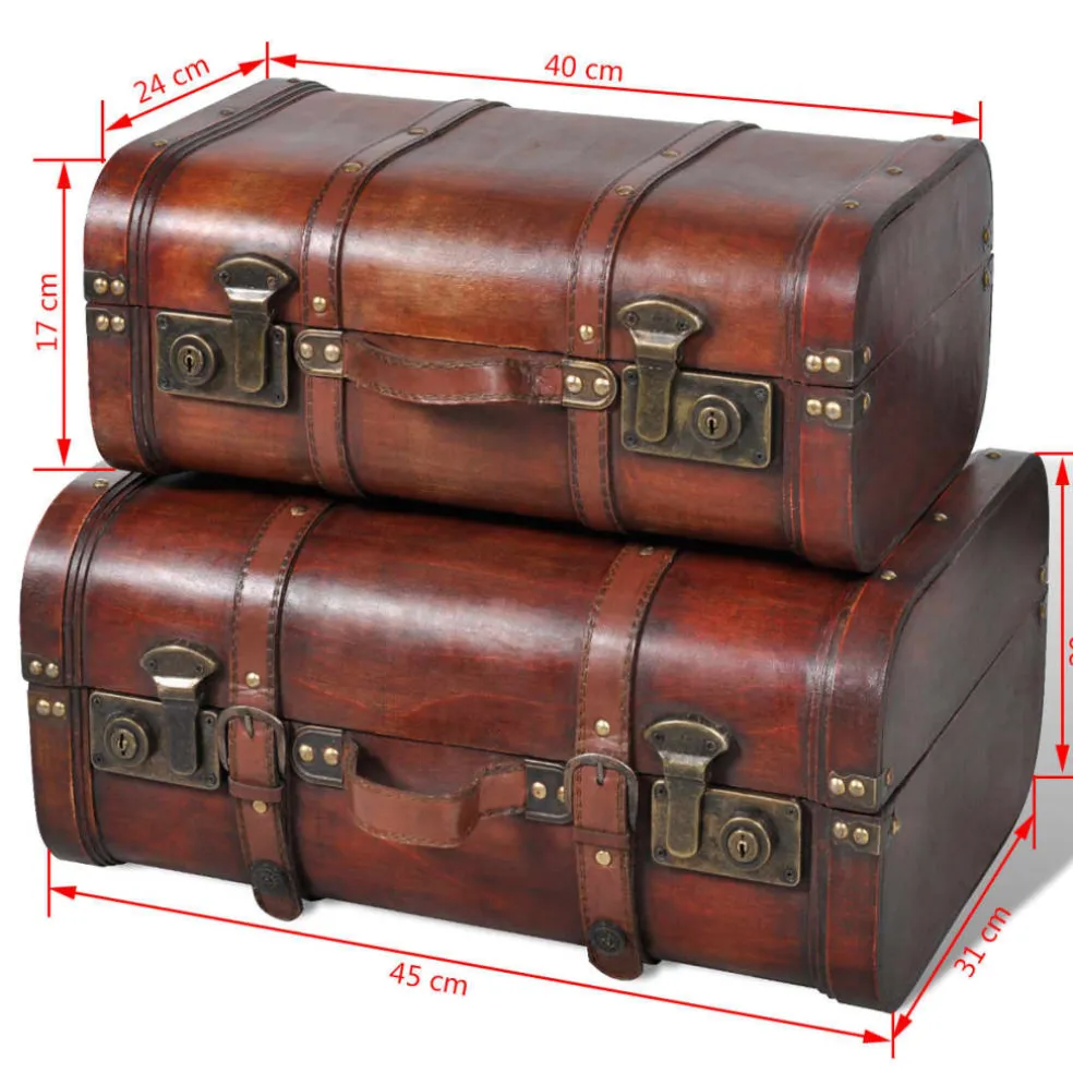 vidaXL Schatkisten 2 st vintage-stijl hout bruin