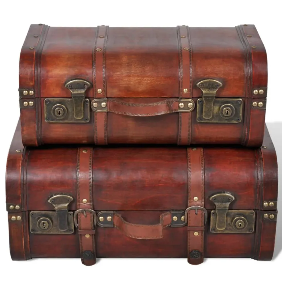 vidaXL Schatkisten 2 st vintage-stijl hout bruin