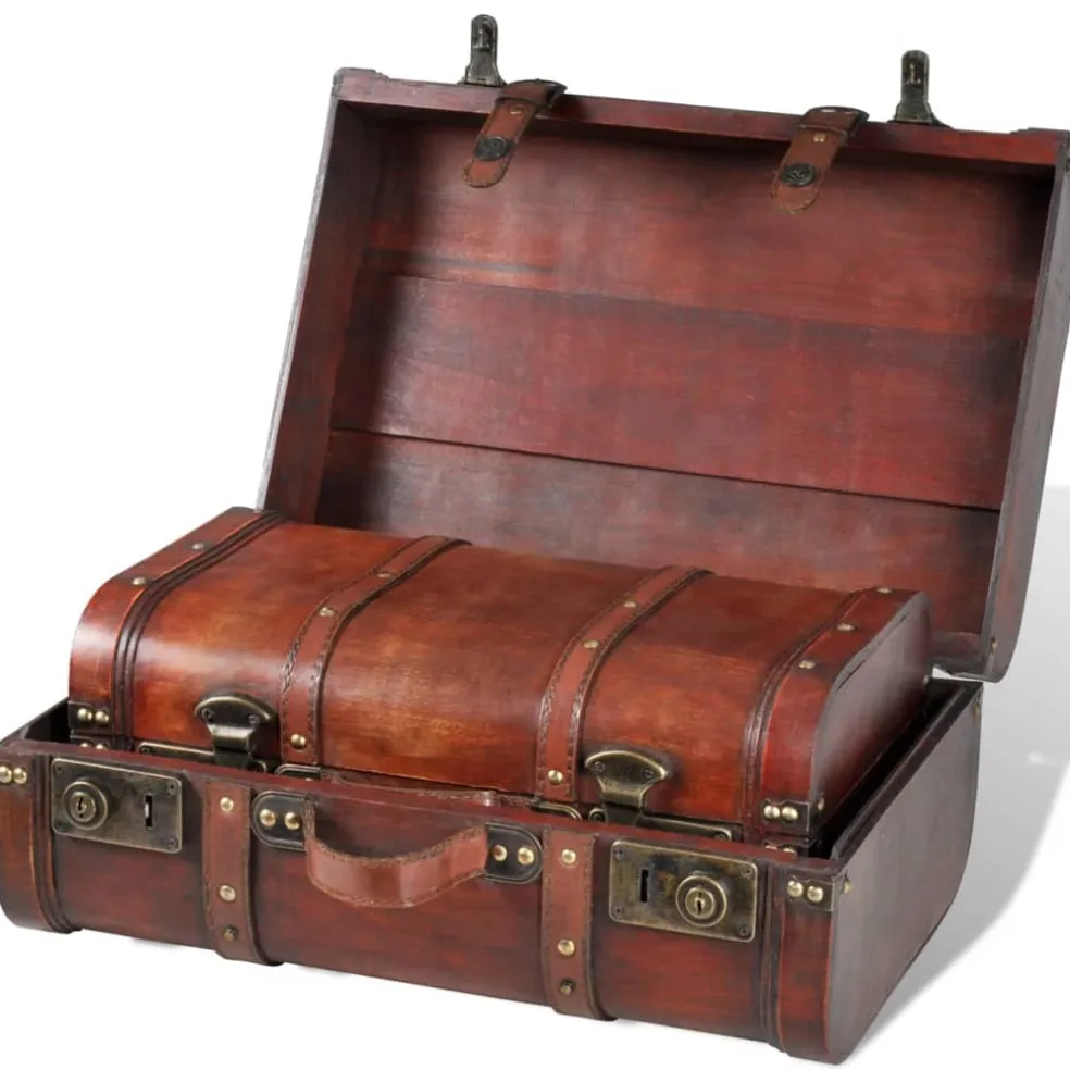 vidaXL Schatkisten 2 st vintage-stijl hout bruin